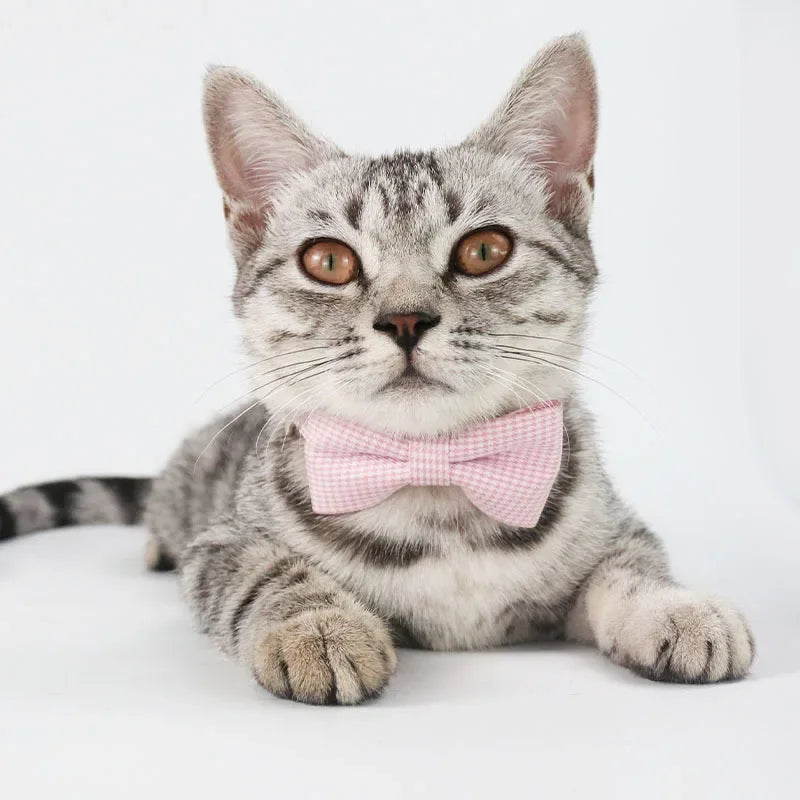 Adjustable Cat Collar with Bow Tie – Stylish & Comfortable Pet Necklace for Cats & Small Dogs