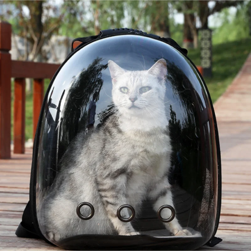 Transparent Pet Backpack – Breathable Space Capsule Carrier for Cats & Small Dogs